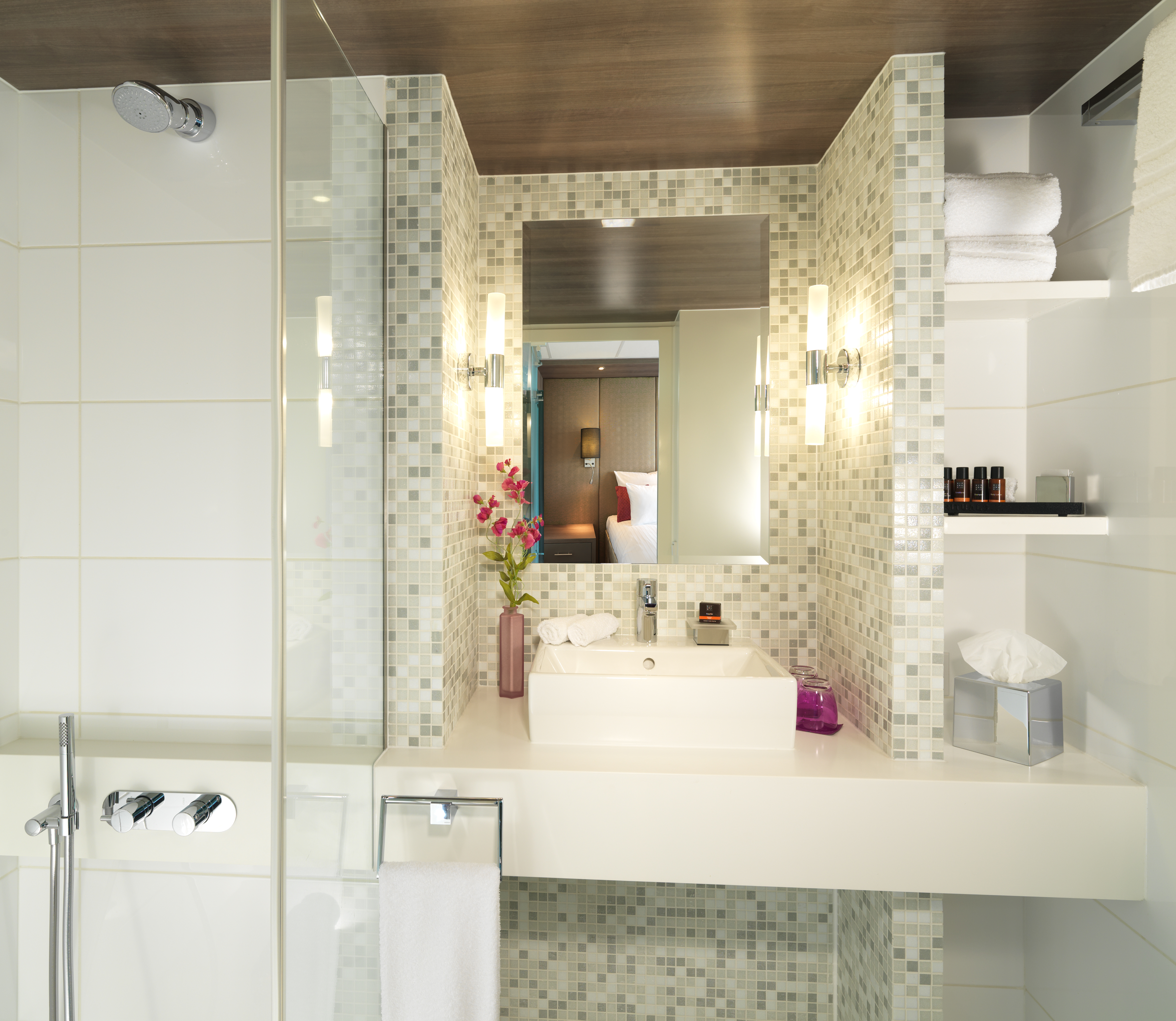 Amadeus River Cruises - Amadeus II - Cabin Bathroom.jpg